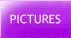 Pictures